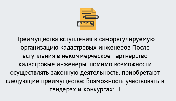 Почему нужно обратиться к нам? Железногорск Что дает допуск СРО кадастровых инженеров?