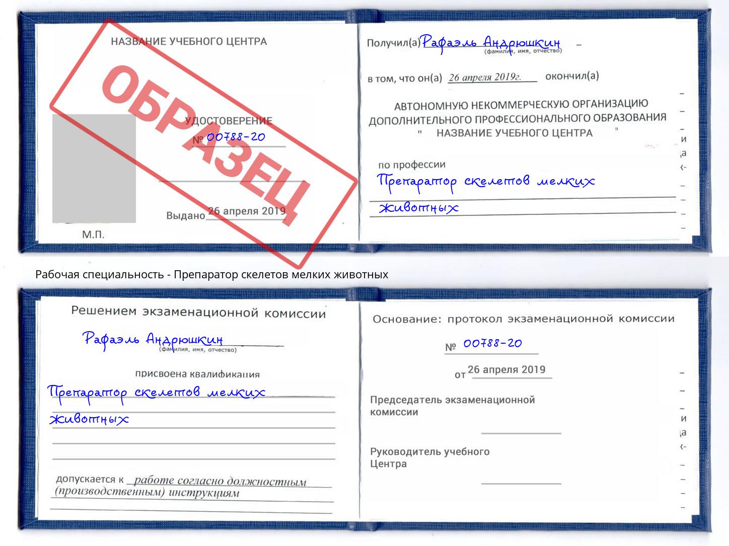 Препаратор скелетов мелких животных Железногорск