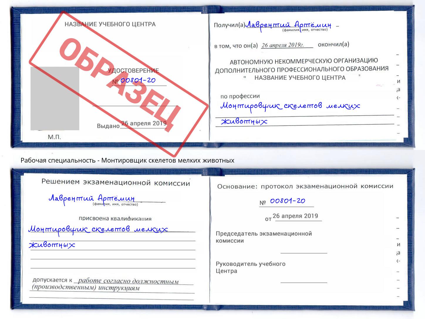 Монтировщик скелетов мелких животных Железногорск