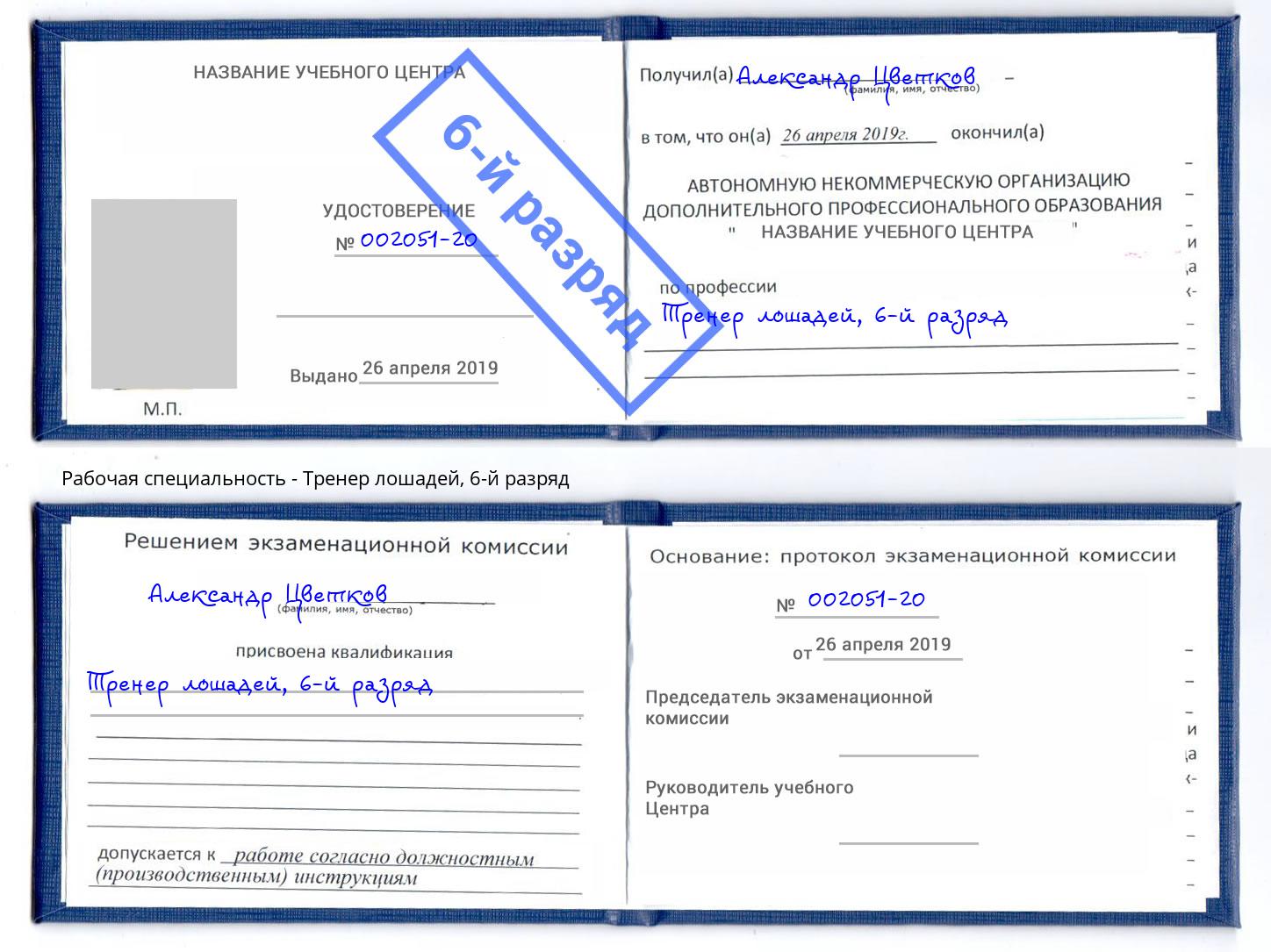 корочка 6-й разряд Тренер лошадей Железногорск