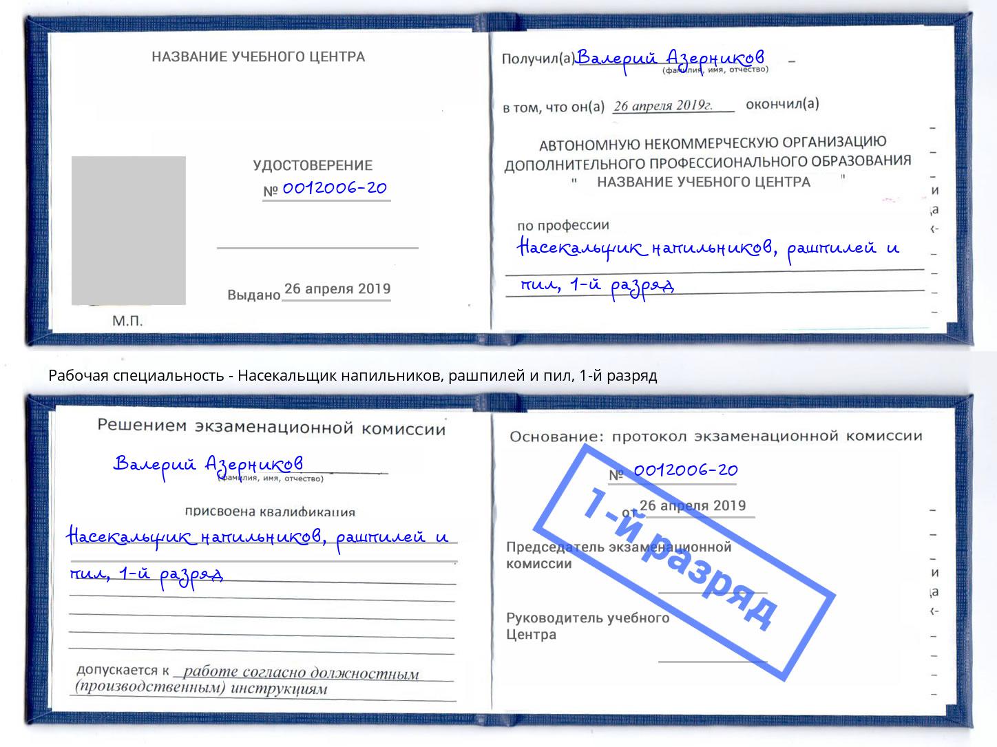 корочка 1-й разряд Насекальщик напильников, рашпилей и пил Железногорск