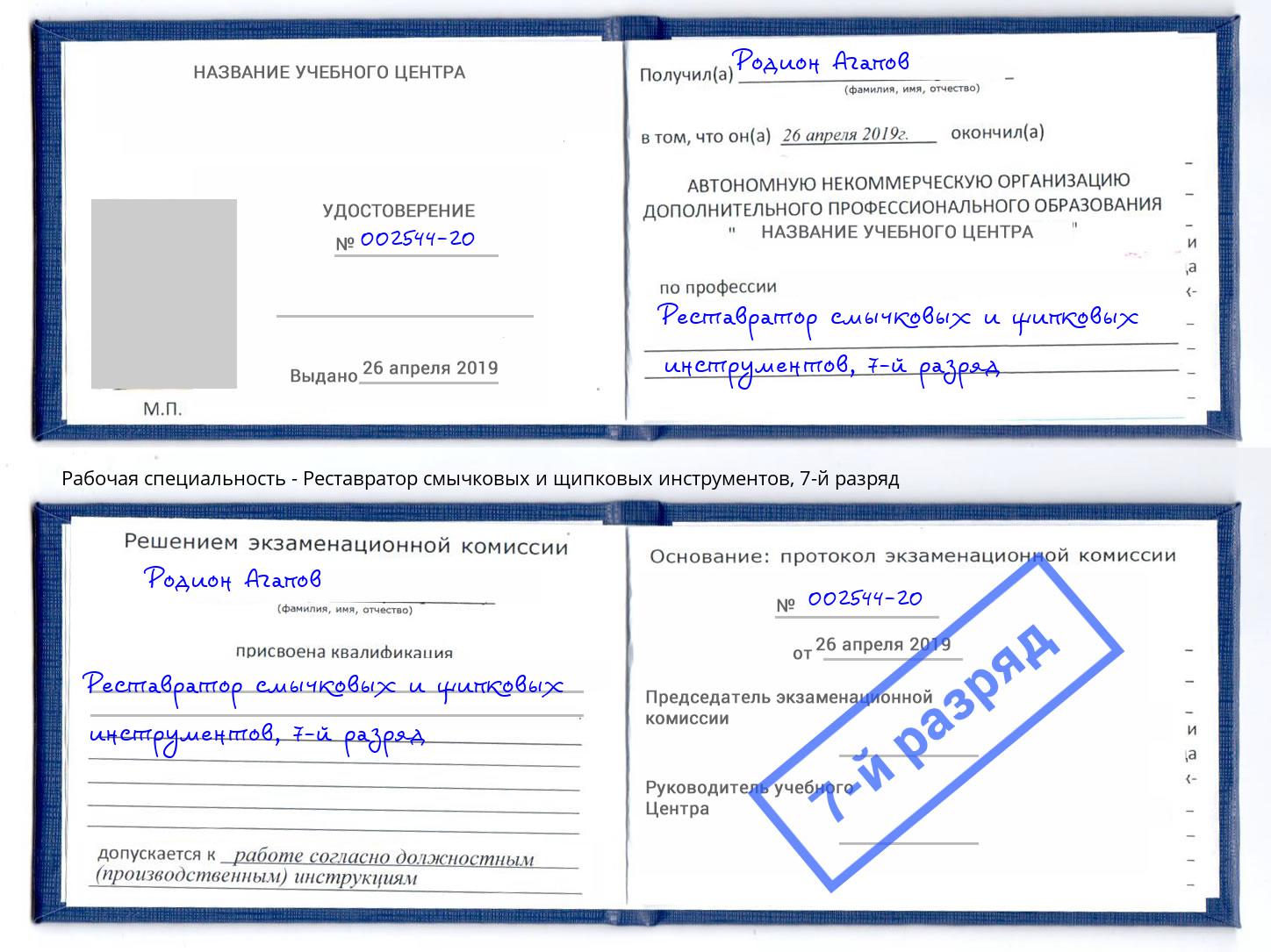 корочка 7-й разряд Реставратор смычковых и щипковых инструментов Железногорск