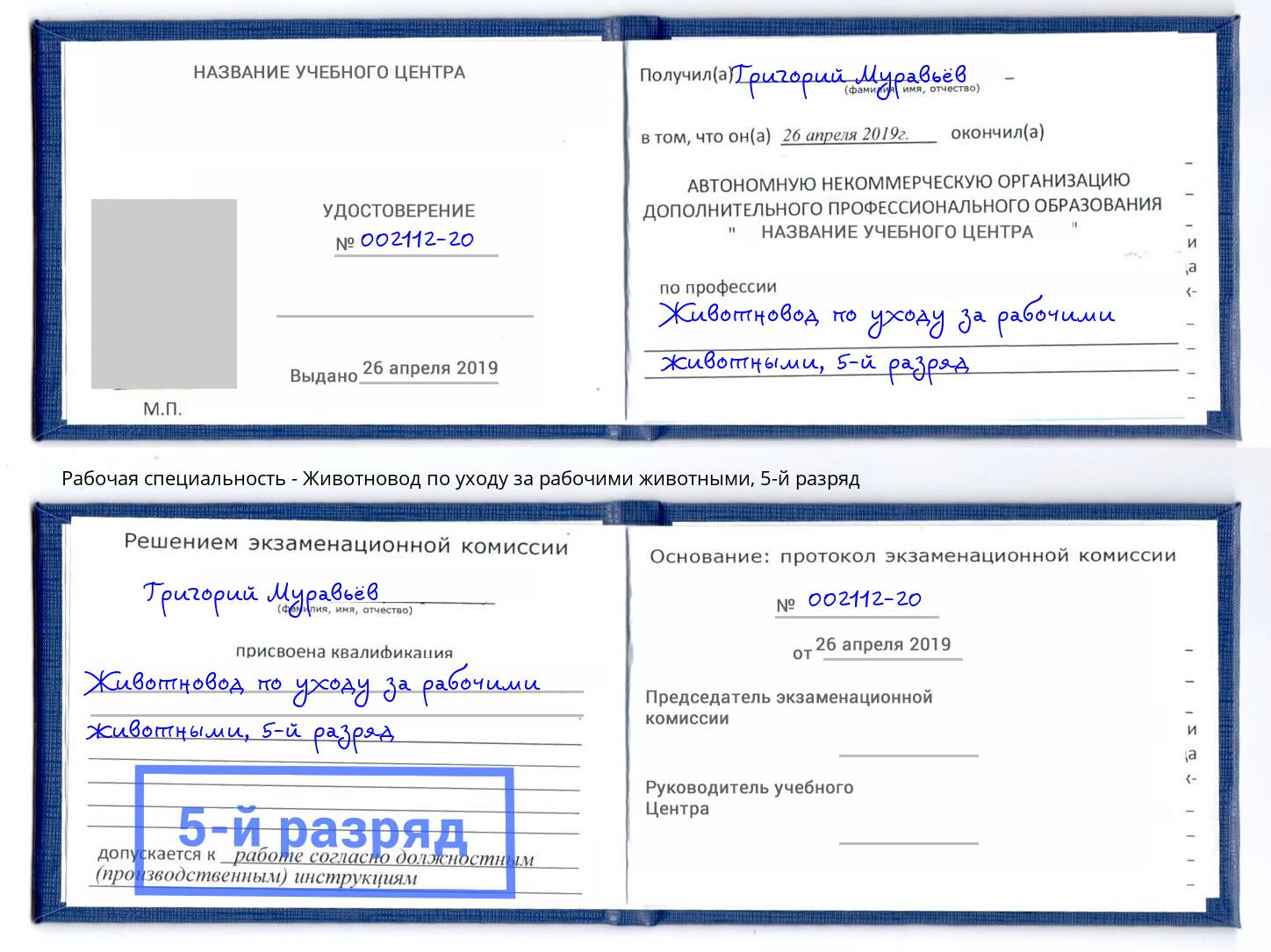 корочка 5-й разряд Животновод по уходу за рабочими животными Железногорск