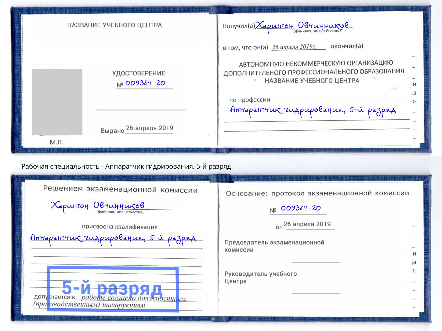 корочка 5-й разряд Аппаратчик гидрирования Железногорск