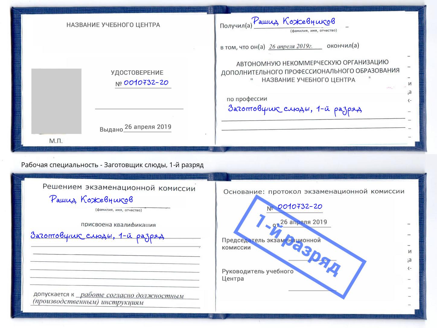 корочка 1-й разряд Заготовщик слюды Железногорск
